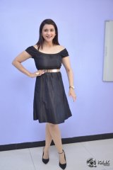 Mannara Chopra at Rogue Movie Success Meet